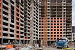 15 ноября 2024
