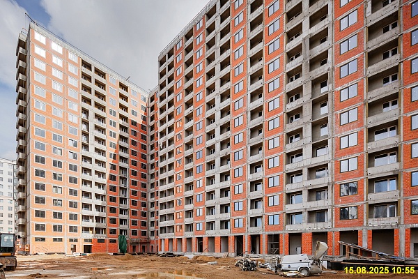 15 августа 2025