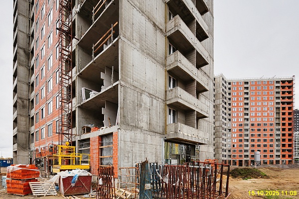 15 октября 2025